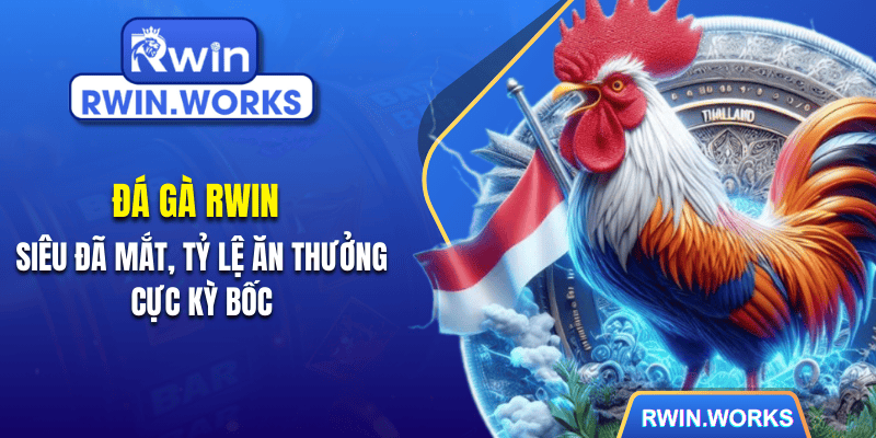 Đá Gà RWIN Siêu Đã Mắt, Tỷ Lệ Ăn Thưởng Cực Kỳ Bốc