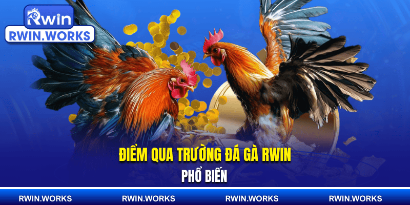 Điểm qua trường đá gà RWIN phổ biến