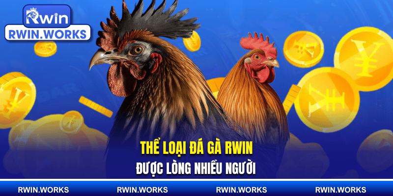 Thể loại đá gà RWIN được lòng nhiều người