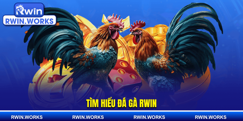Tìm hiểu đá gà RWIN