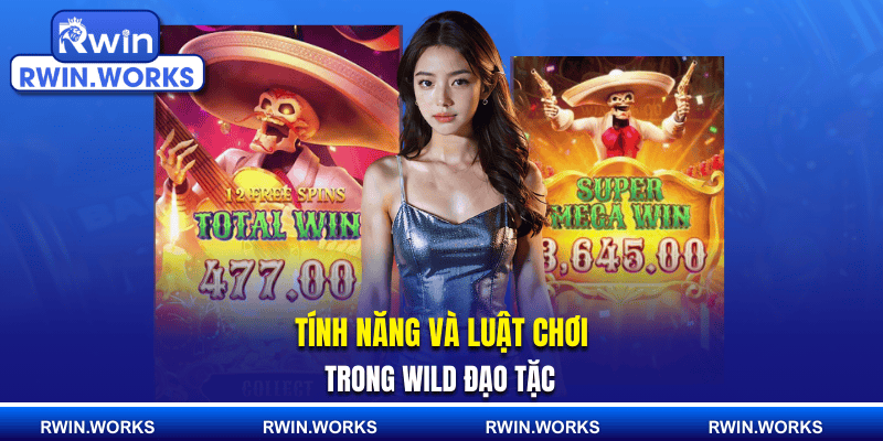 Tính năng và luật chơi trong Wild Đạo Tặc