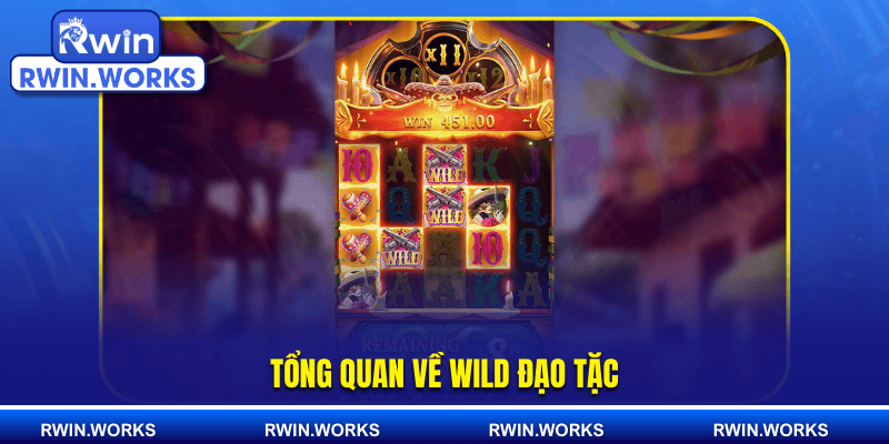 Tổng quan về Wild Đạo Tặc